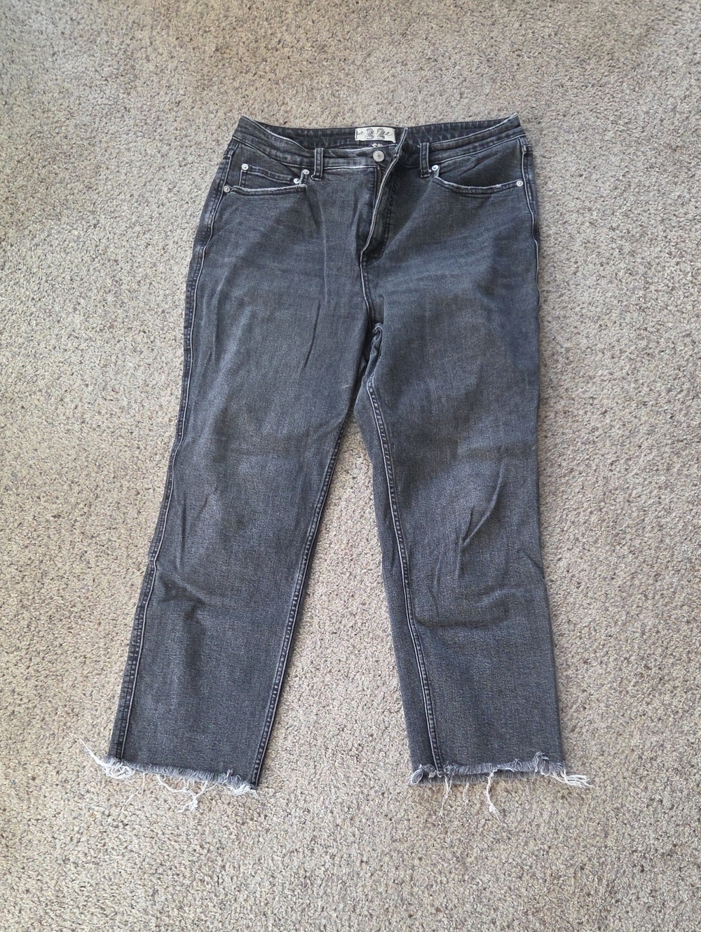 We The Free CRVY Straight Leg Jeans in Washed Black